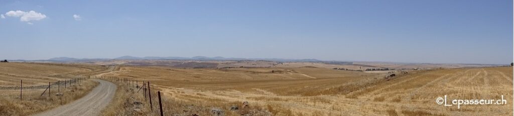 Dans la meseta, Espagne