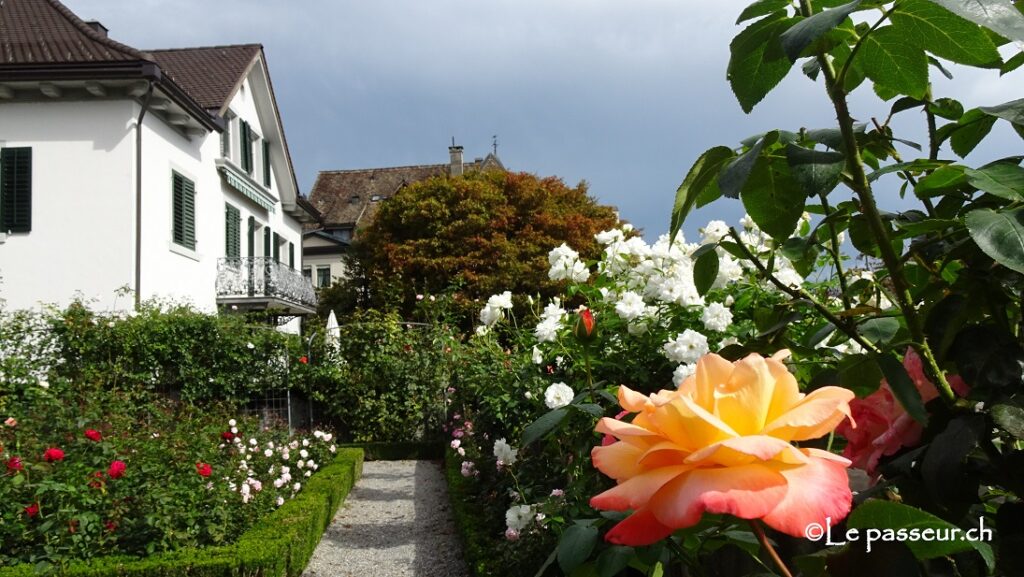 Rosengarten Schlossberg Rapperswil