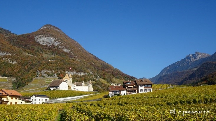 Aigle le château et le vignoble